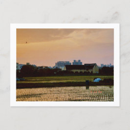 country vibe zonsondergang Lente Briefkaart