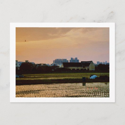 country vibe zonsondergang Lente Briefkaart (Voorkant)