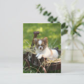 CountryBumpkin Briefkaart (Staand voorkant)