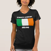 County Carlow, Ierland met Ierse vlag
