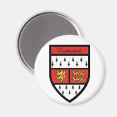 County Carlow Magnet (Voorkant / Achterkant)