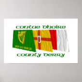 County Derry Flags Poster (Voorkant)