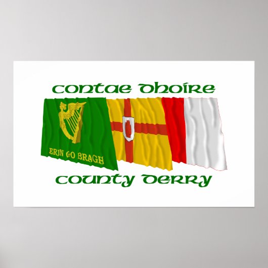 County Derry Flags Poster (Voorkant)