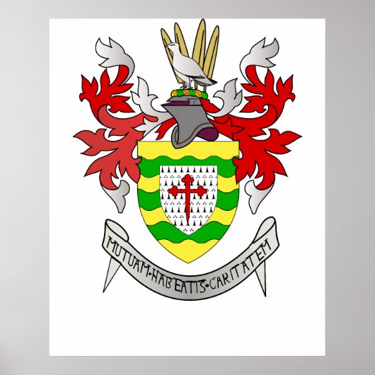 County Donegal, Ierland Poster (Voorkant)