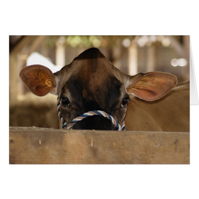 County Fair card (Voorkant Horizontaal)