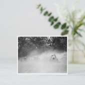 County Fair Dirt Track Races Briefkaart (Staand voorkant)