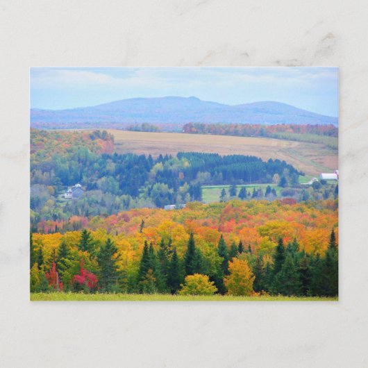 County Farmland Briefkaart (Voorkant)