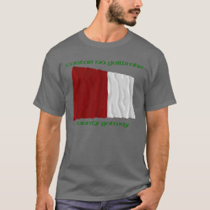 County Galway Colors T-shirt