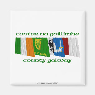 County Galway Flags Magneet