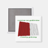 County Galway Kleuren Magneet (Voorkant / Achterkant)
