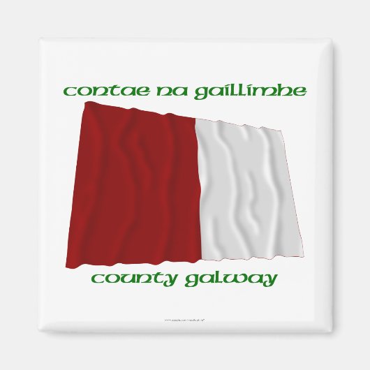 County Galway Kleuren Magneet (Voorkant)