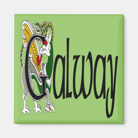 County Galway Magnet (Voorkant)