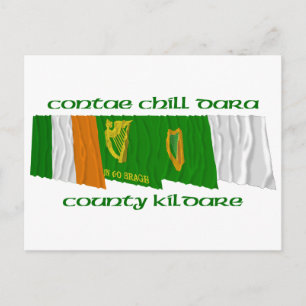 County Kildare Flags Briefkaart