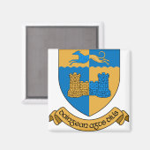 County Longford Ierland Magneet (Voorkant / Achterkant)