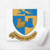 County Longford Ierland Muismat (Met muis)