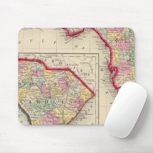 County Map of Florida Muismat (Met muis)