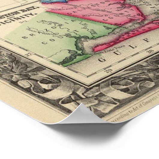 County Map of Texas Poster (Hoek)