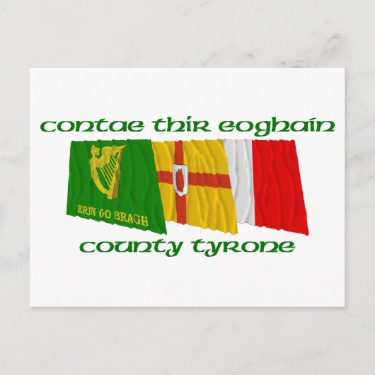 County Tyrone Flags Briefkaart (Voorkant)