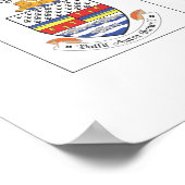 County's of Ireland Poster (Hoek)