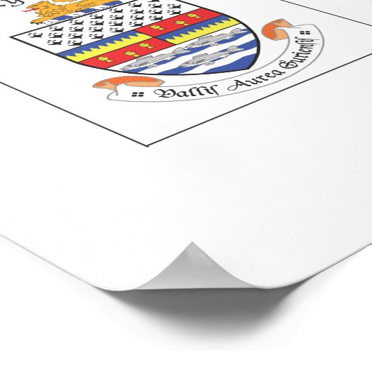 County's of Ireland Poster (Hoek)