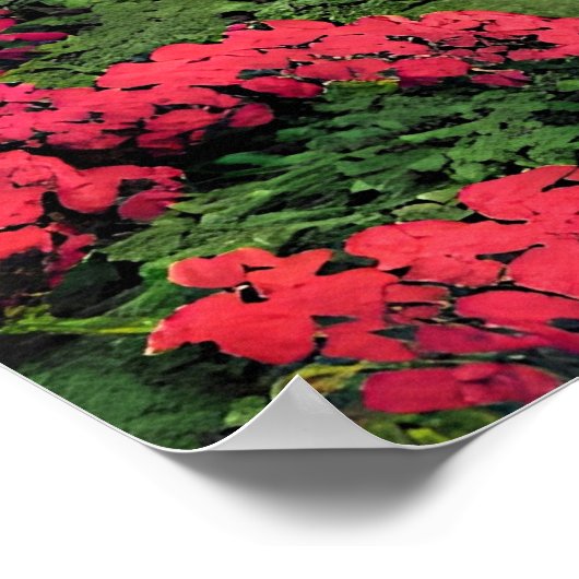 Couple in The Park-56476 Poster (Hoek)