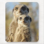 Couple of Meerkats Cute Photo Muismat (Voorkant)