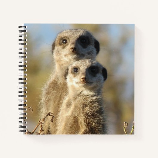 Couple of Meerkats Cute Photo Notitieboek (Voorkant)