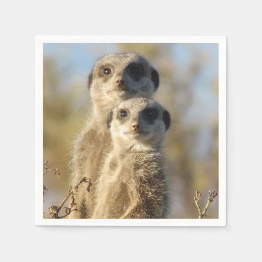 Couple of Meerkats Photo Servet (Voorkant)