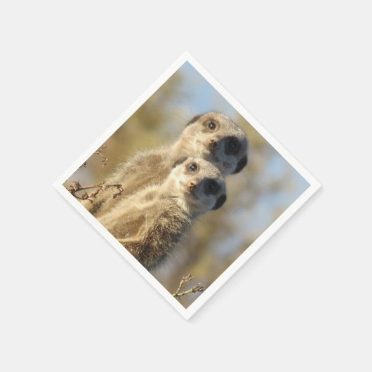 Couple of Meerkats Photo Servet (Hoek)