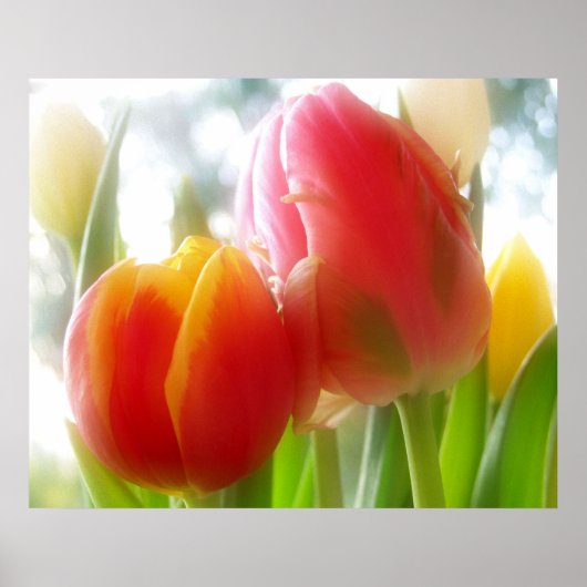 couple tulips print & poster (Voorkant)