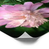 Courage Peony Flower Abstract Inspirerend Poster (Hoek)