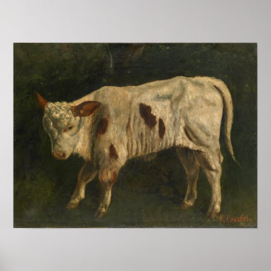Courbet - Het kalf Poster (Voorkant)