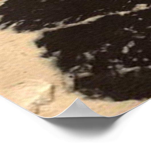 Courchevel Posh Girl Poster (Hoek)