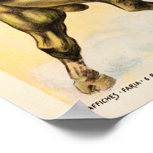 Course de Taureaux  1907 Bull Fighting Ad Poster (Hoek)