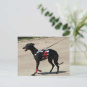 coursing briefkaart (Staand voorkant)