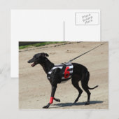 coursing briefkaart (Voorkant / Achterkant)