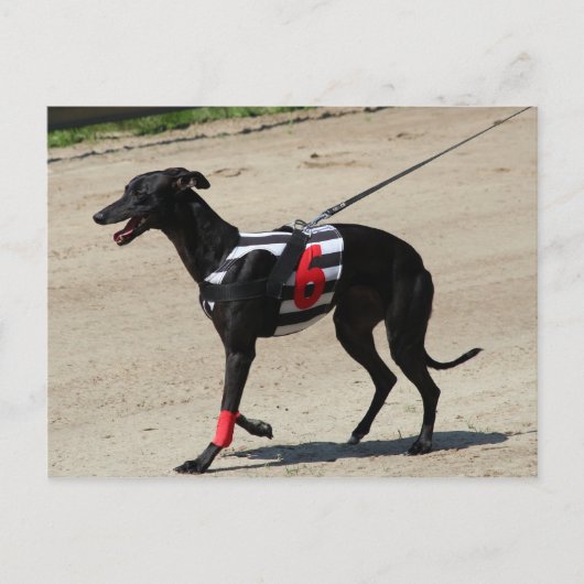 coursing briefkaart (Voorkant)