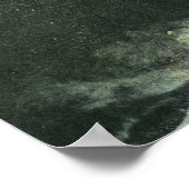 Court Street Bridge en Genesee in High Water Poster (Hoek)