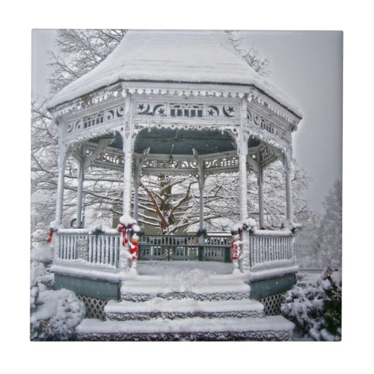 Courthouse Gazebo in Snow Tegeltje (Voorkant)
