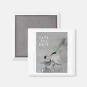 Courting Royal Terns, Save the Date Magnet (Voorkant / Achterkant)