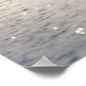 Courting Swans Nature Photo Poster (Hoek)