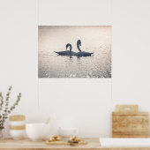 Courting Swans Nature Photo Poster (Keuken)