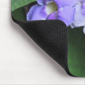 Courtyard bloemen, DJ 06 Muismat (Hoek)