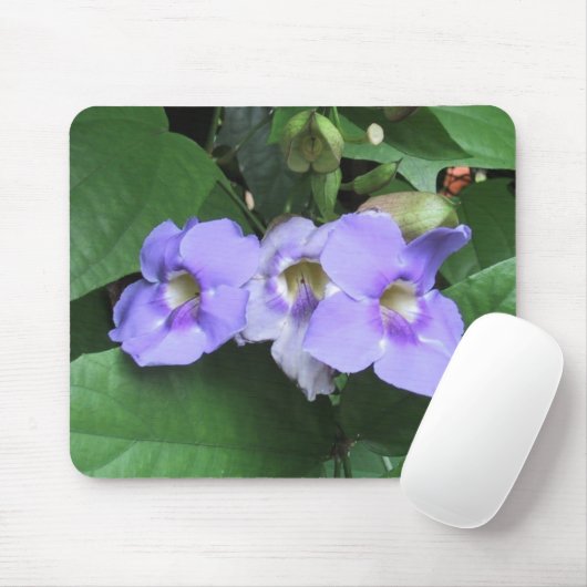 Courtyard bloemen, DJ 06 Muismat (Met muis)