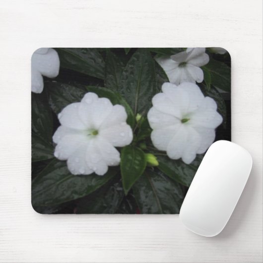 Courtyard blooms, DJ 06 Muismat (Met muis)