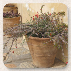 Courtyard Plant Onderzetters