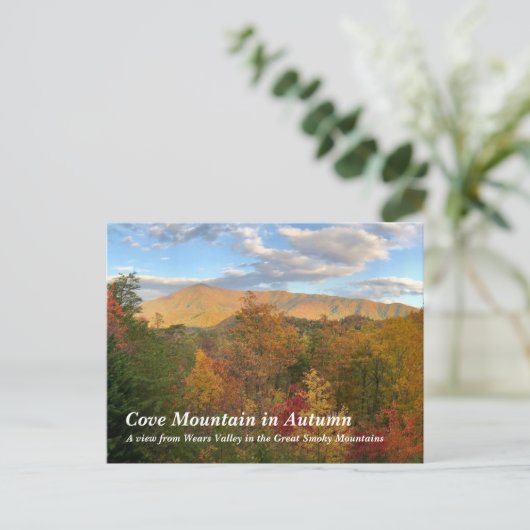 Cove Mountain in het Great Smoky Mountains Briefkaart (Staand voorkant)