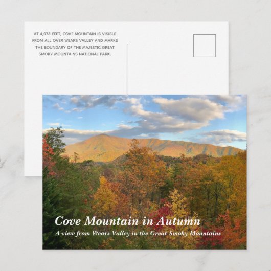 Cove Mountain in het Great Smoky Mountains Briefkaart (Voorkant / Achterkant)