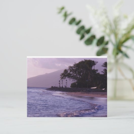 Cove Park Briefkaart (Staand voorkant)