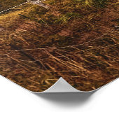 Covehead Harbor Lighthouse, Prince Edward Island Poster (Hoek)